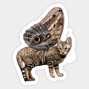 Owl Bengal Flitter Kitty Sticker